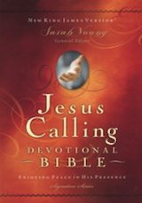 Jesus Calling - 365 Small Daily Devotional